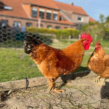 Ferienhof Renate Sassen Werdum
