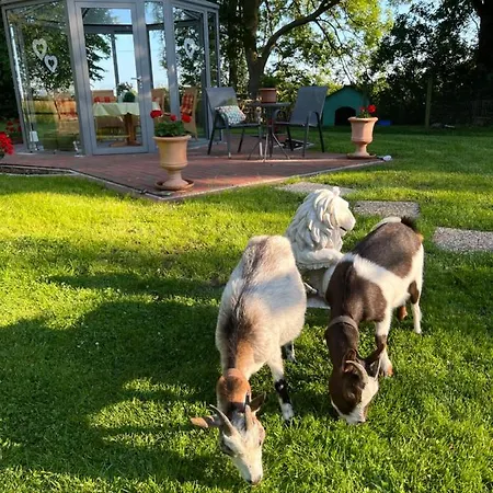Ferienhof Renate Sassen Appartement *